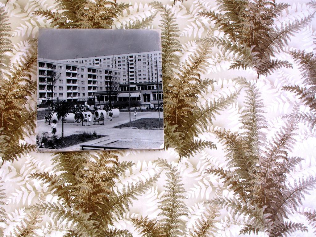 Ostel - Ddr Ostello